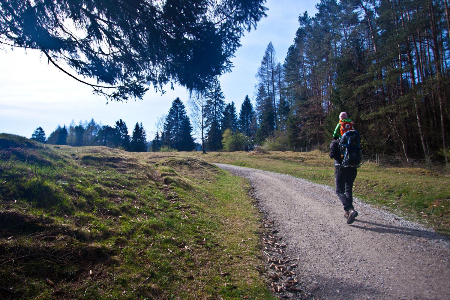 Pfeiffer Alm - Wanderweg