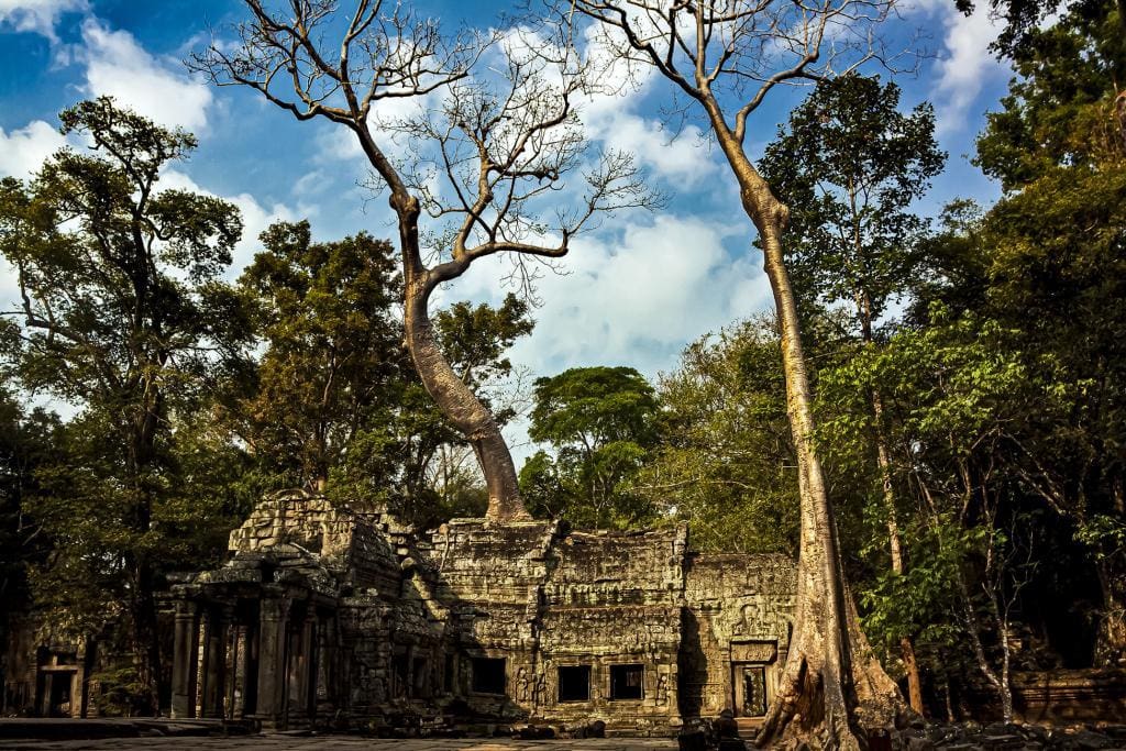 Ta Prohm Angkor Wat