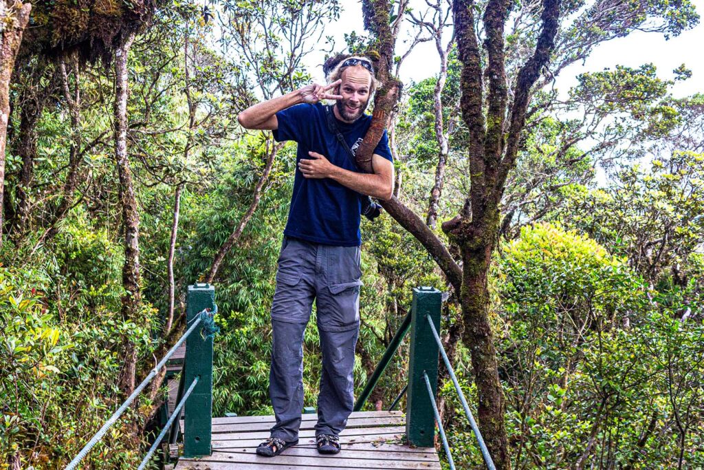 Mossy Forest Cameron Highlands