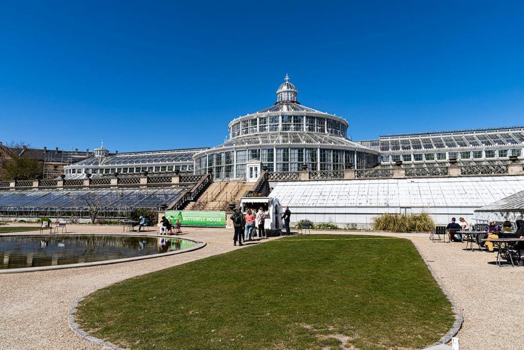 The Butterfly House - Kopenhagen