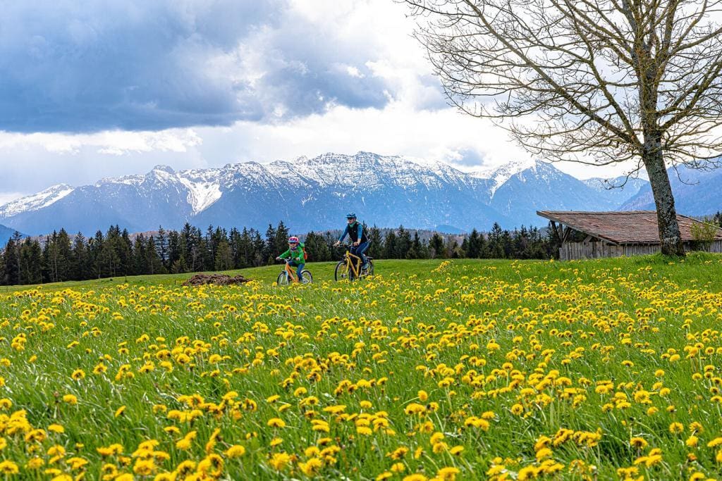 Staffelsee Rundfahrt Blick Hohe Kiste