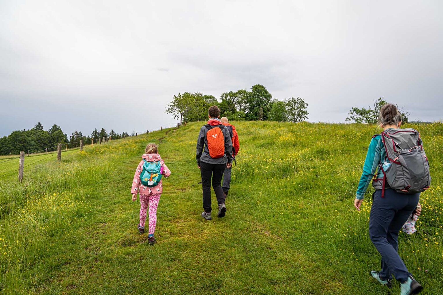 Wanderweg Pfarralpe ab Wiederhofen - Missen
