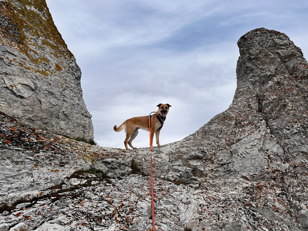 Trollholmsund kurz vor dem Nordkapp