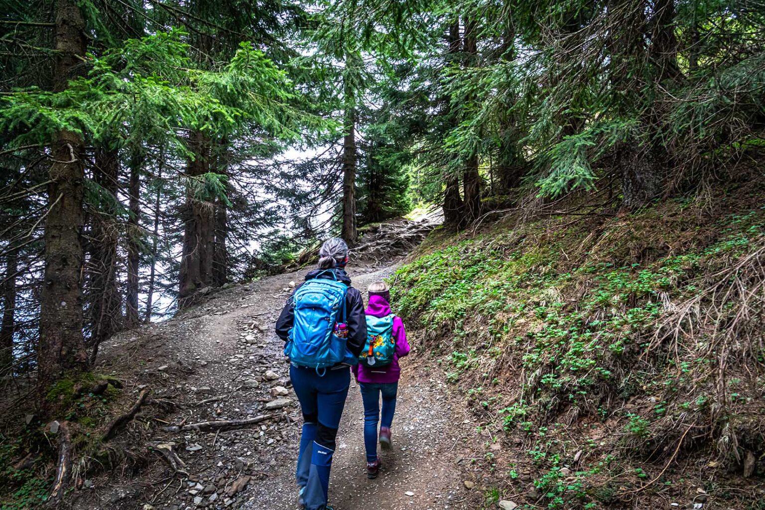a woman and a child walking on a trail in the woods