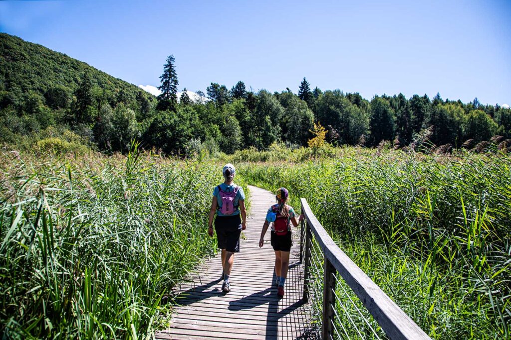 Wanderweg Montiggler See Holzweg