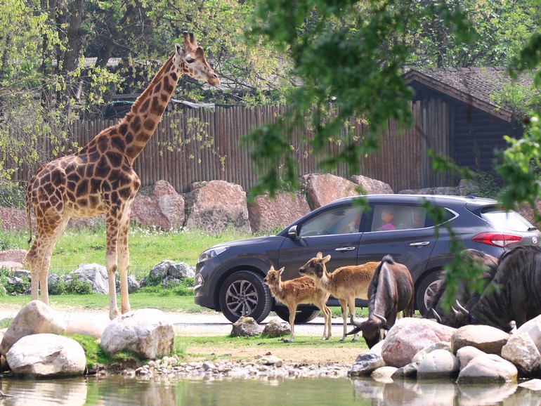 Parco Natura Viva